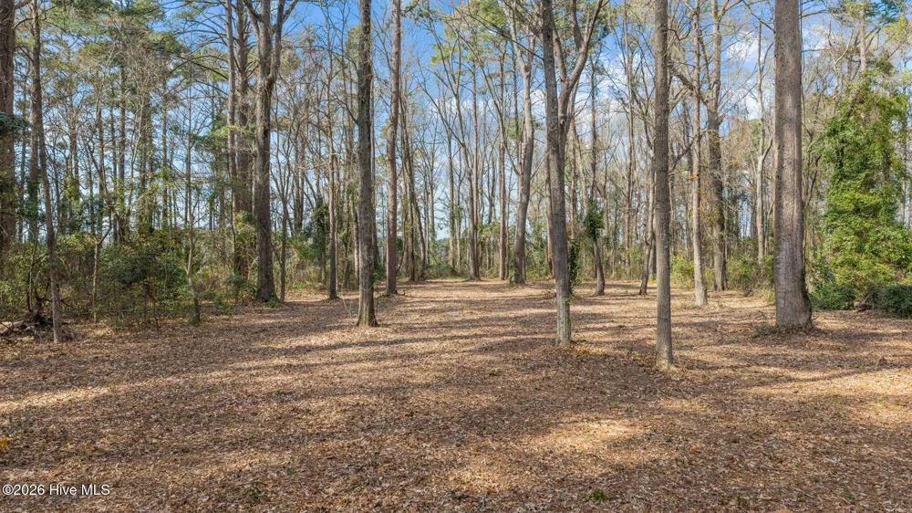 16 Winfield Lane Pinetown, NC 27865