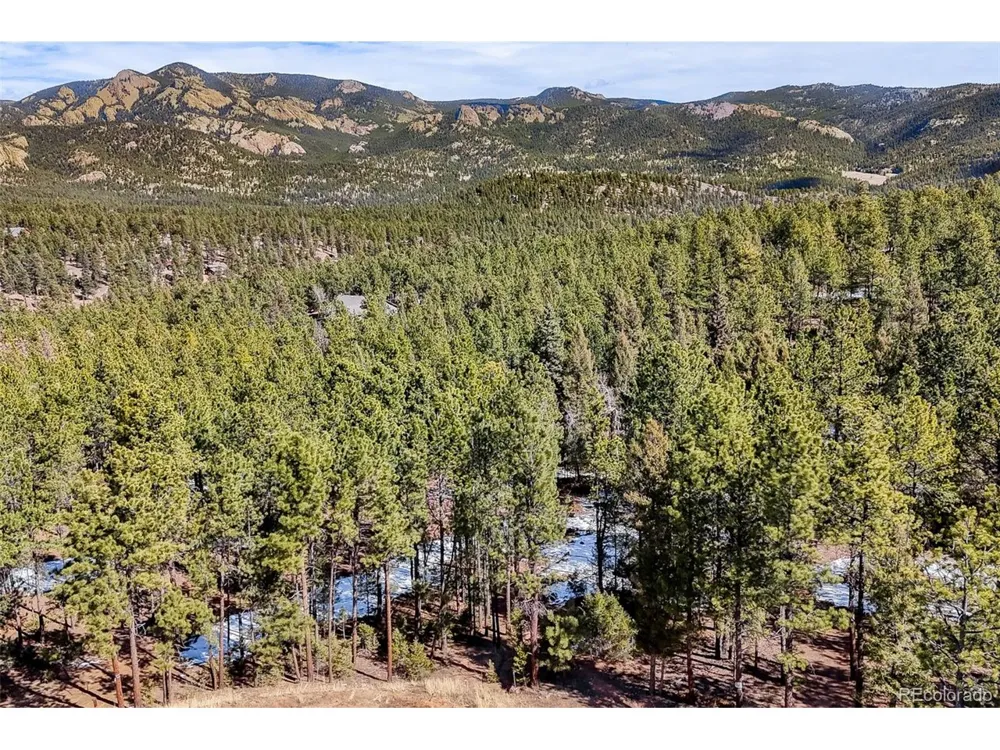 249 Territory Drive Pine, CO 80470