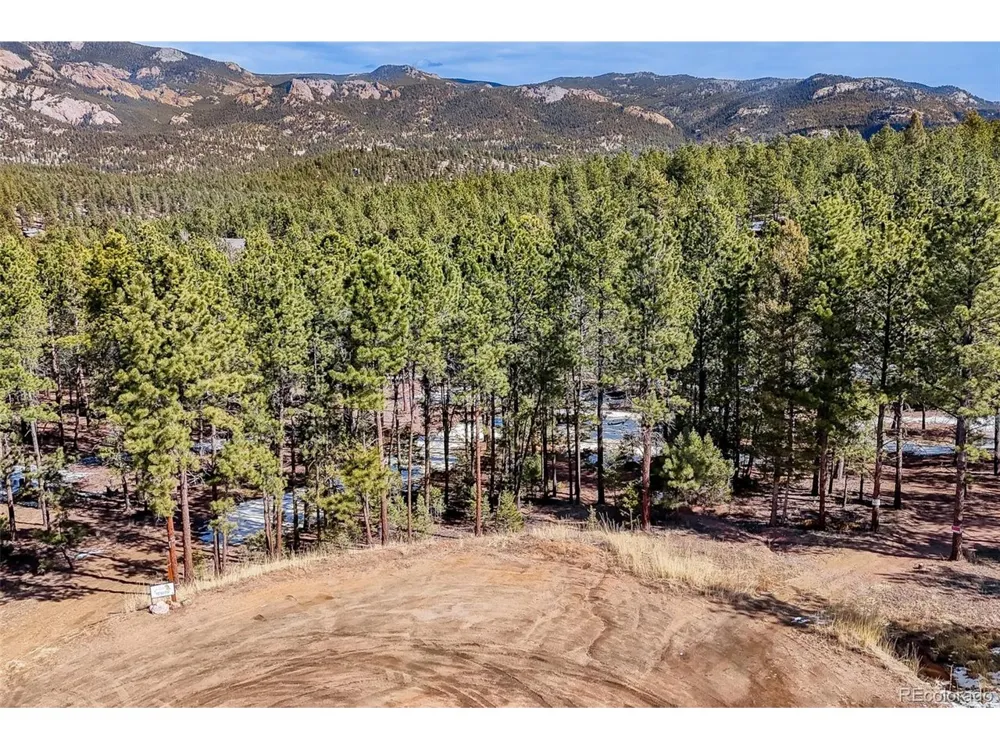 249 Territory Drive Pine, CO 80470