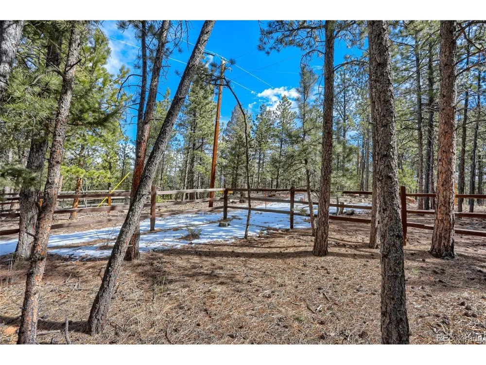 249 Territory Drive Pine, CO 80470