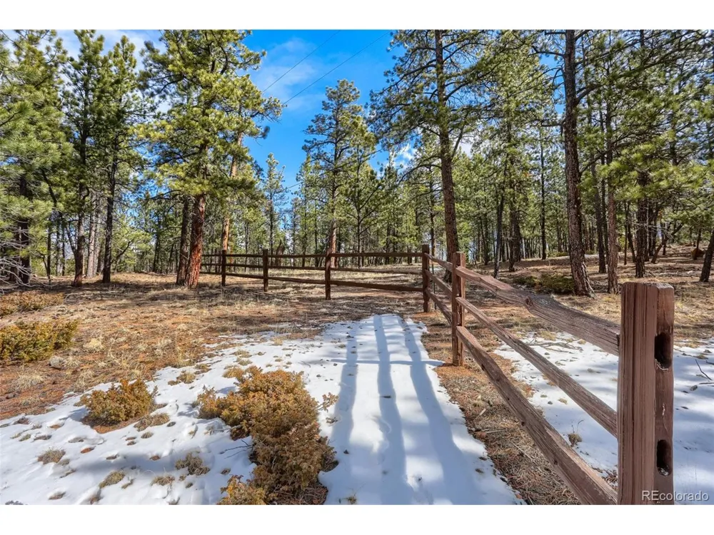 249 Territory Drive Pine, CO 80470