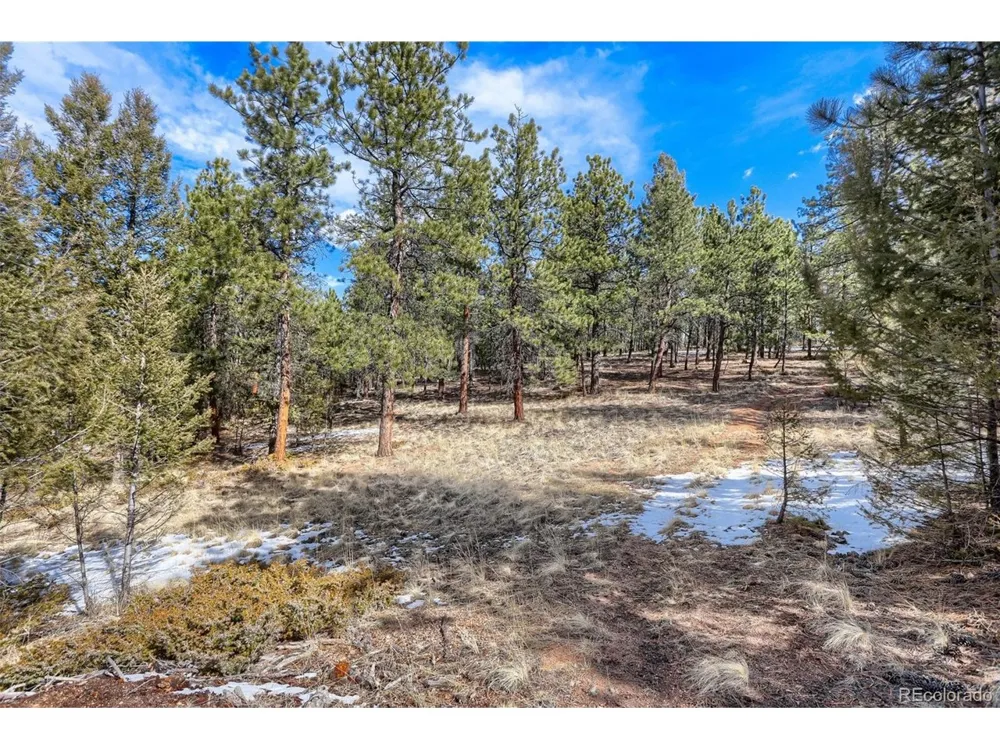249 Territory Drive Pine, CO 80470