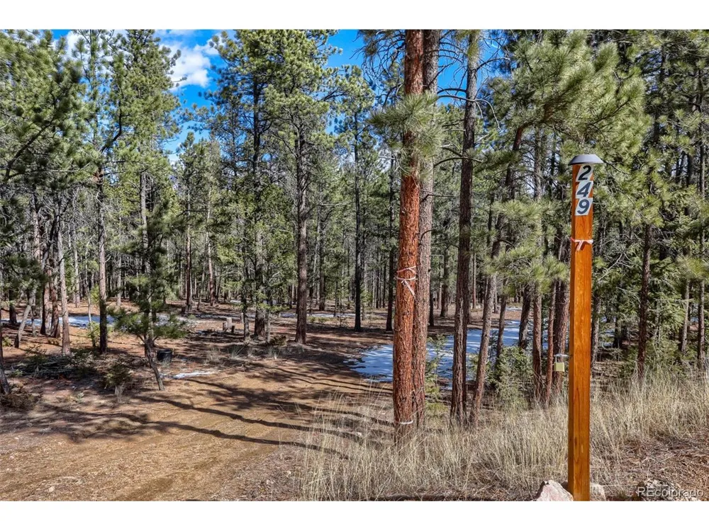 249 Territory Drive Pine, CO 80470