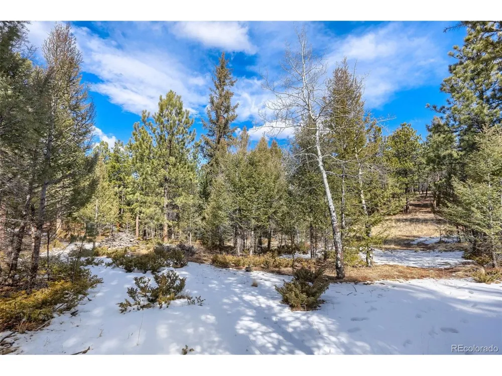 249 Territory Drive Pine, CO 80470
