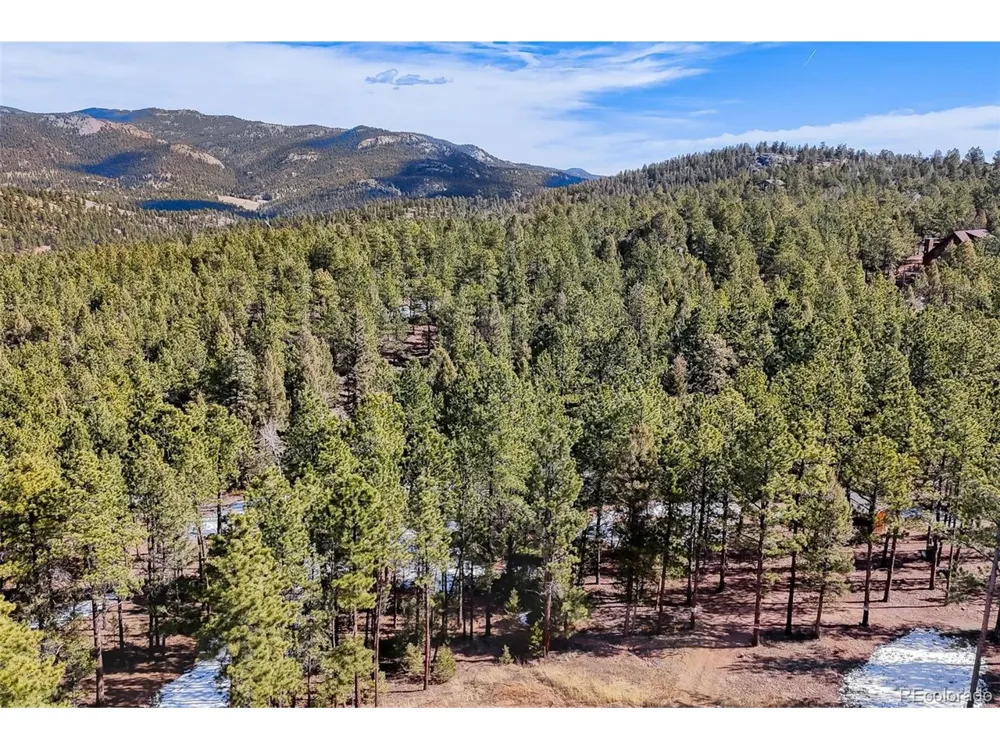 249 Territory Drive Pine, CO 80470