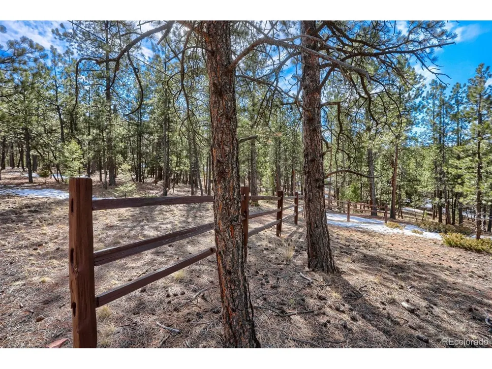 249 Territory Drive Pine, CO 80470