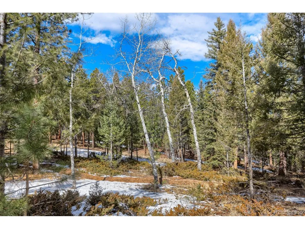 249 Territory Drive Pine, CO 80470
