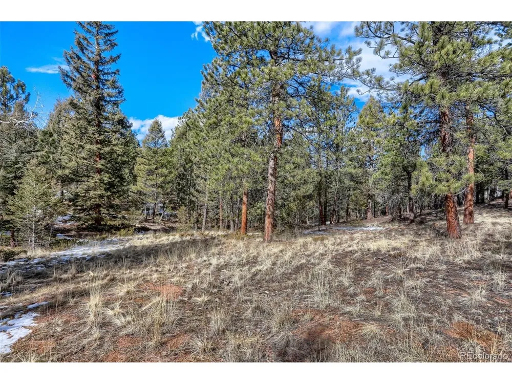 249 Territory Drive Pine, CO 80470