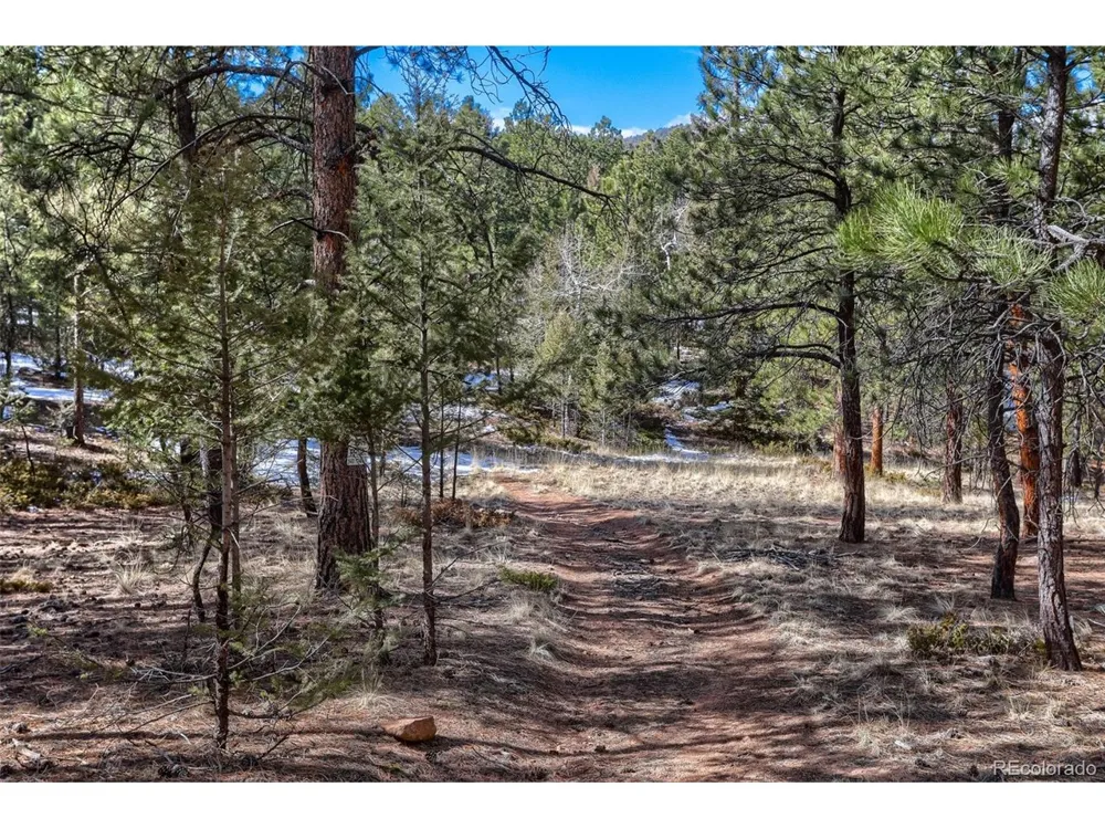 249 Territory Drive Pine, CO 80470
