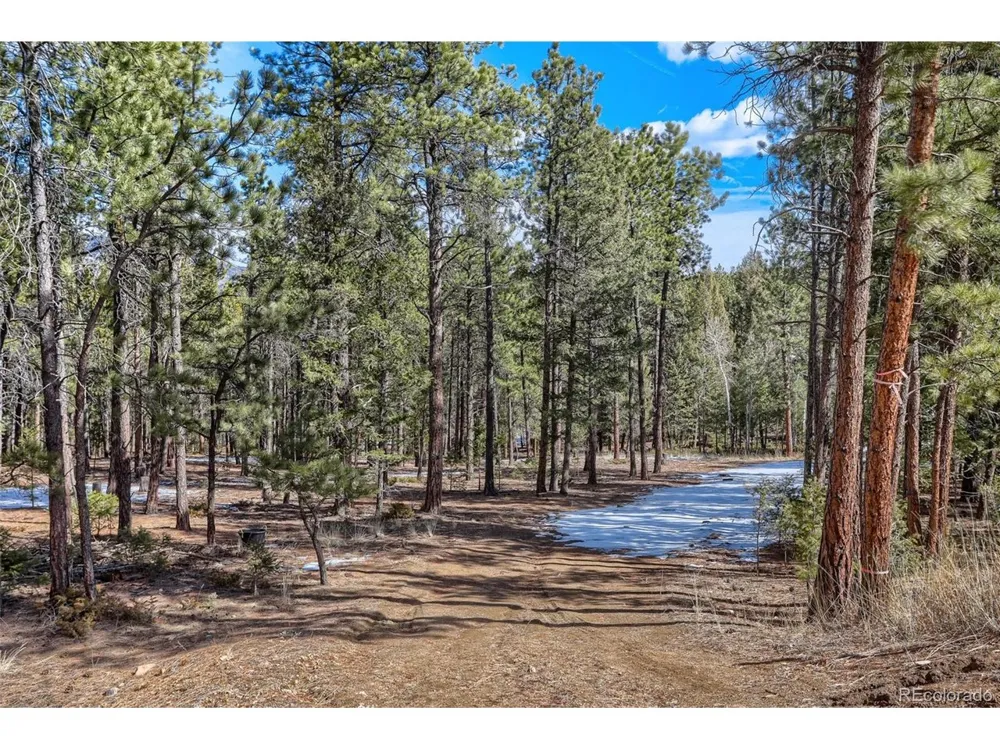 249 Territory Drive Pine, CO 80470