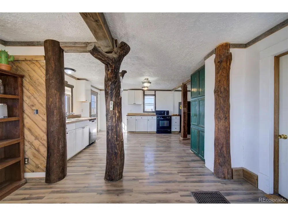 10573 County Road 165 Matheson, CO 80830