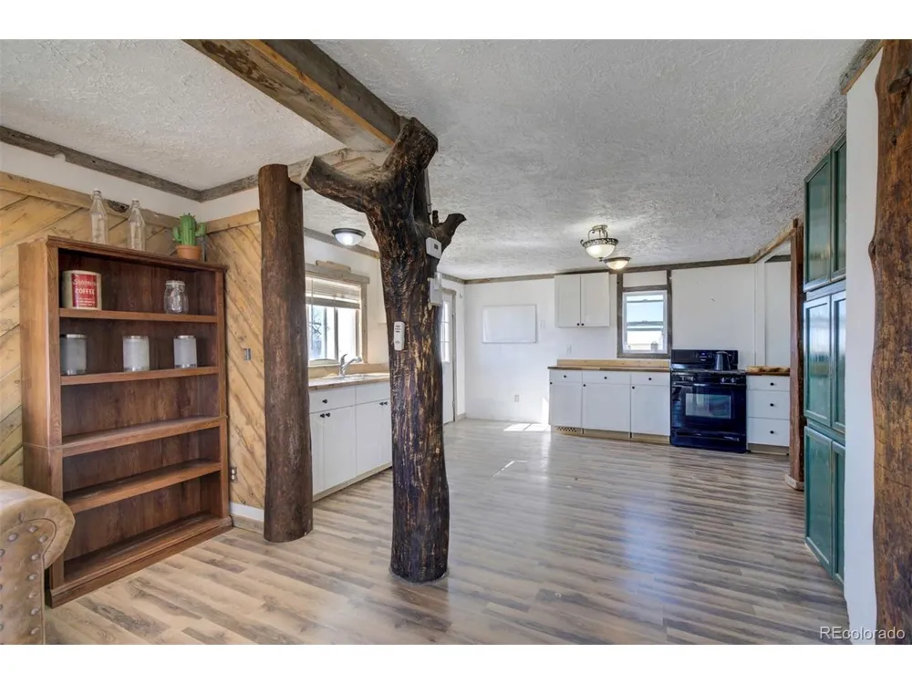 10573 County Road 165 Matheson, CO 80830