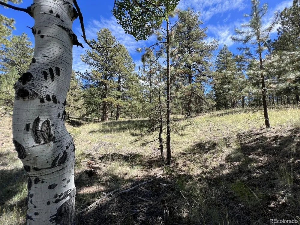 82 Kiowa Circle Westcliffe, CO 81252