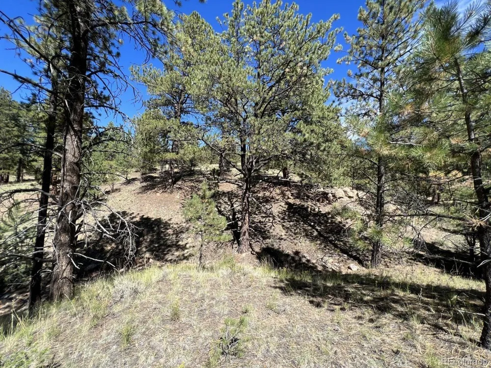 82 Kiowa Circle Westcliffe, CO 81252