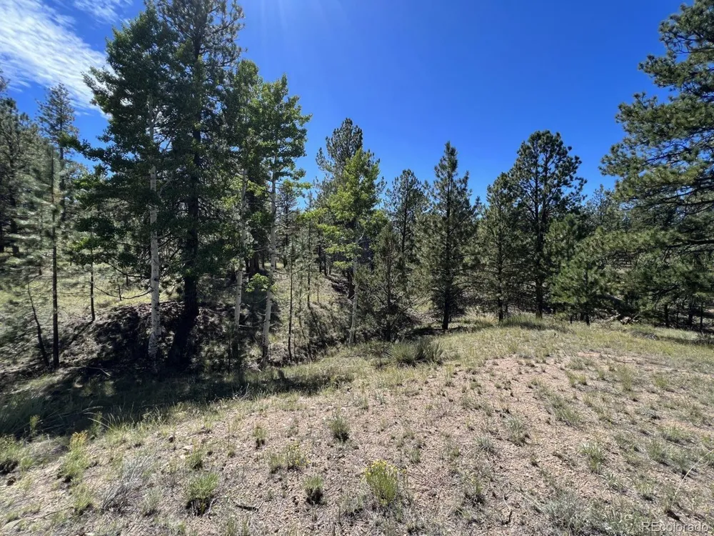 82 Kiowa Circle Westcliffe, CO 81252