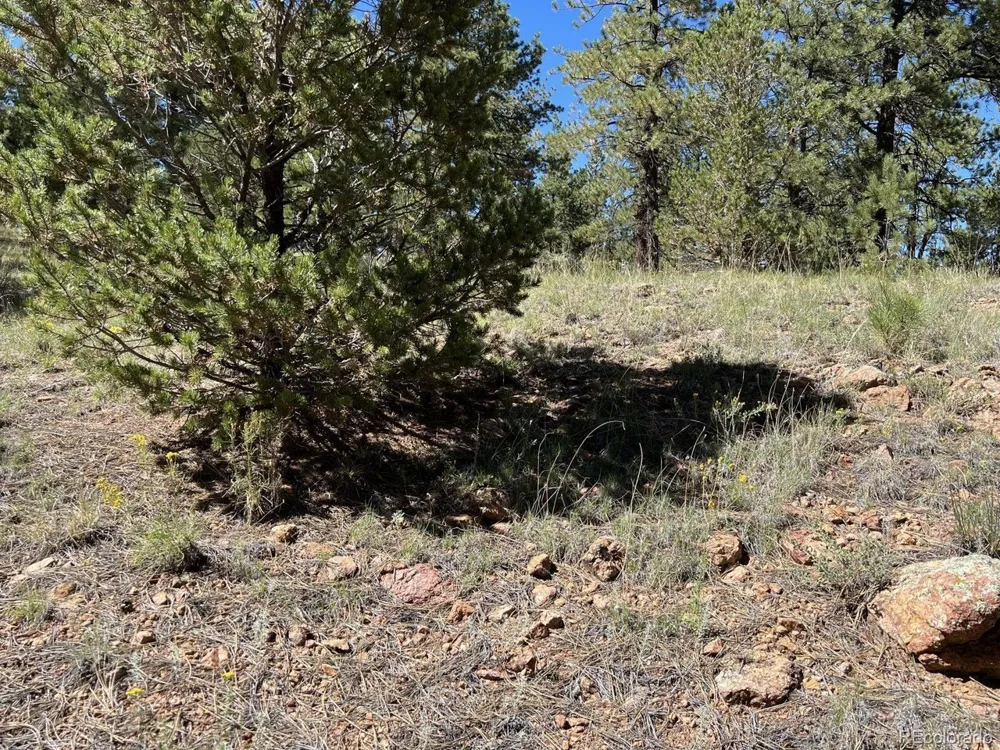 82 Kiowa Circle Westcliffe, CO 81252