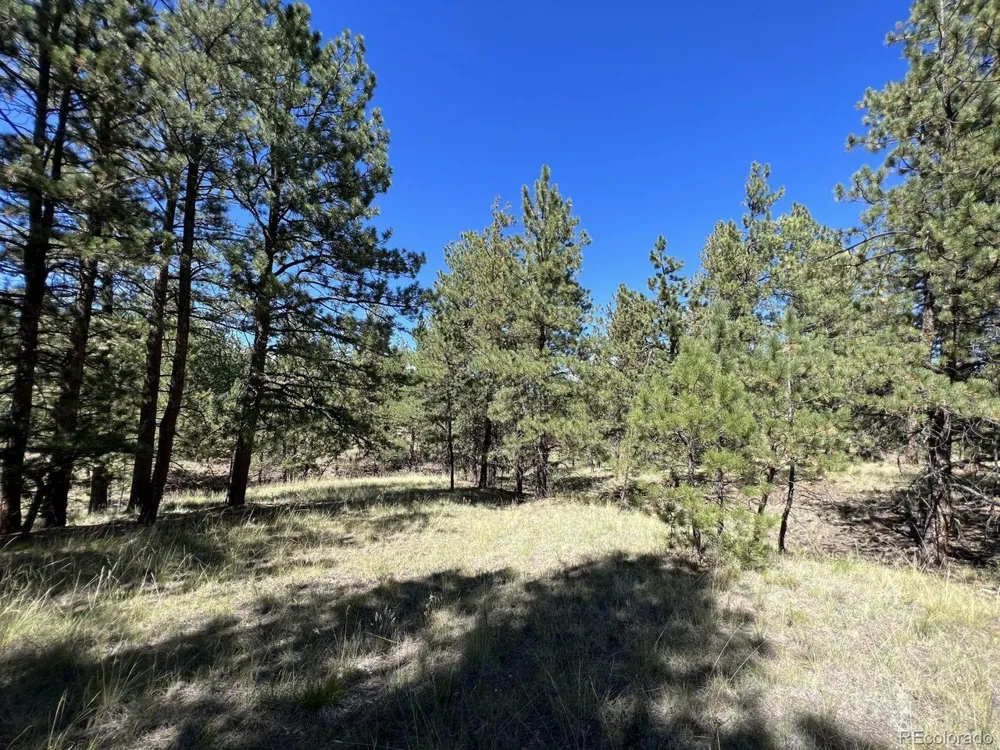 82 Kiowa Circle Westcliffe, CO 81252