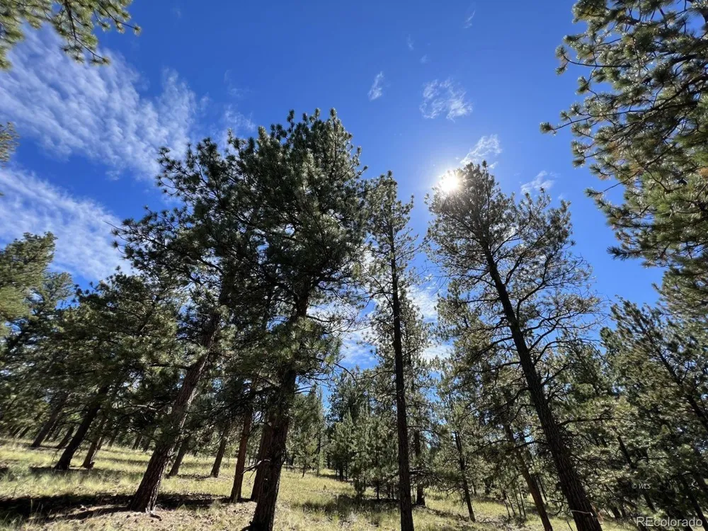 82 Kiowa Circle Westcliffe, CO 81252