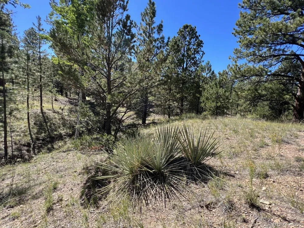 82 Kiowa Circle Westcliffe, CO 81252