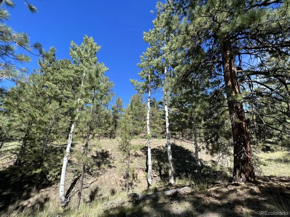 82 Kiowa Circle Westcliffe, CO 81252