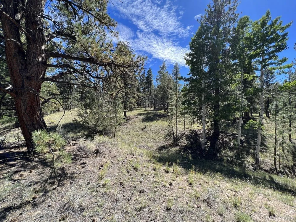 82 Kiowa Circle Westcliffe, CO 81252