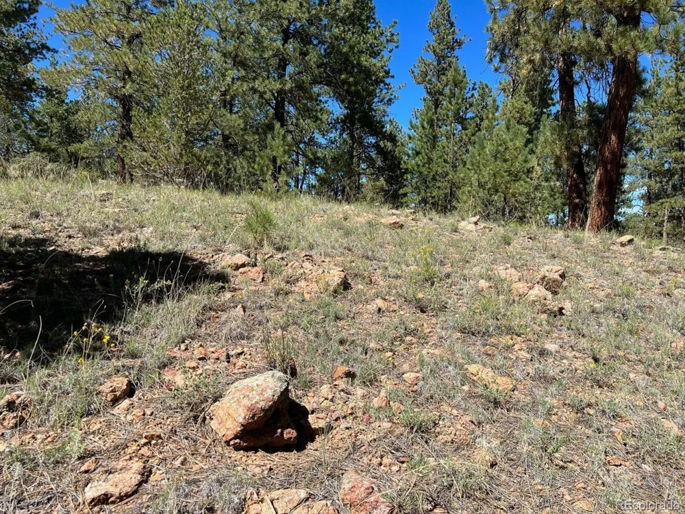 82 Kiowa Circle Westcliffe, CO 81252