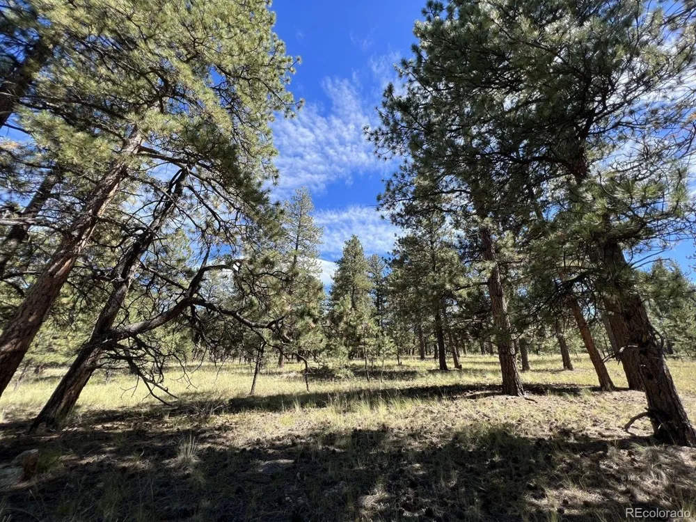 82 Kiowa Circle Westcliffe, CO 81252