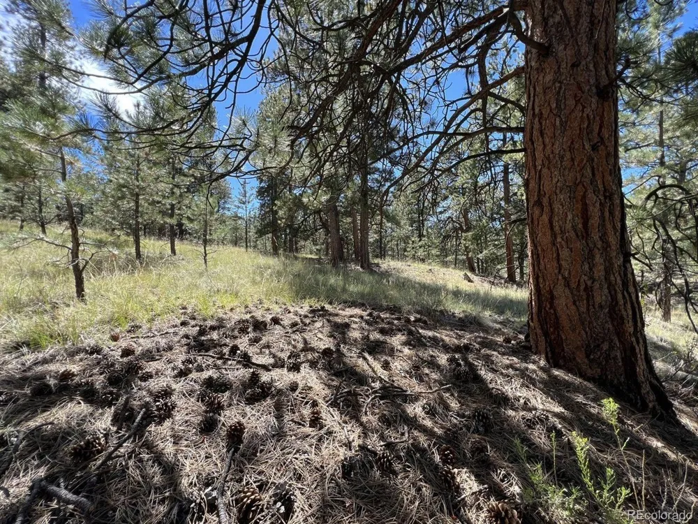 82 Kiowa Circle Westcliffe, CO 81252