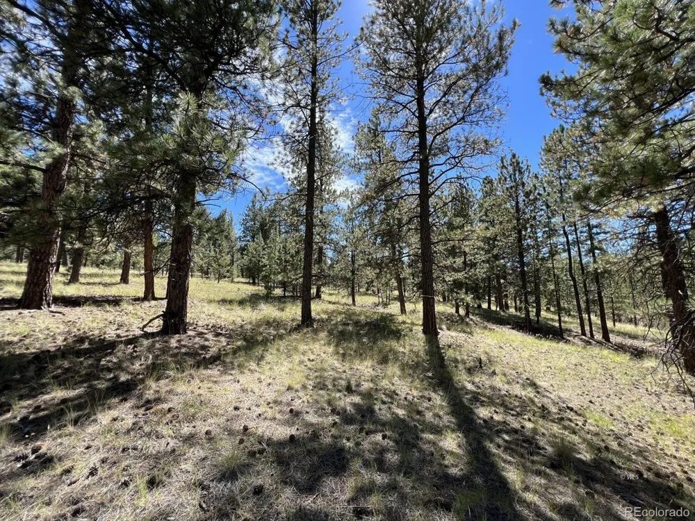 82 Kiowa Circle Westcliffe, CO 81252