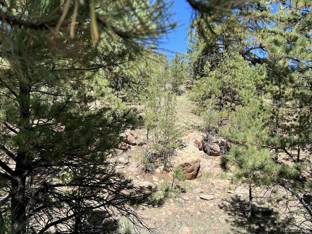 82 Kiowa Circle Westcliffe, CO 81252