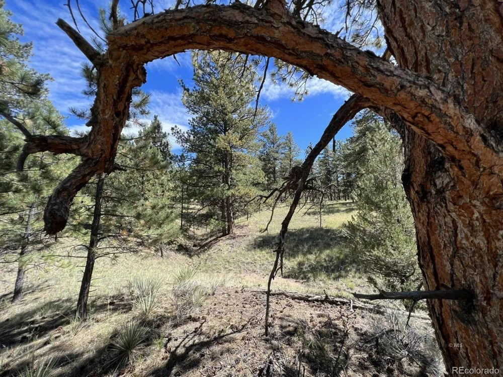 82 Kiowa Circle Westcliffe, CO 81252