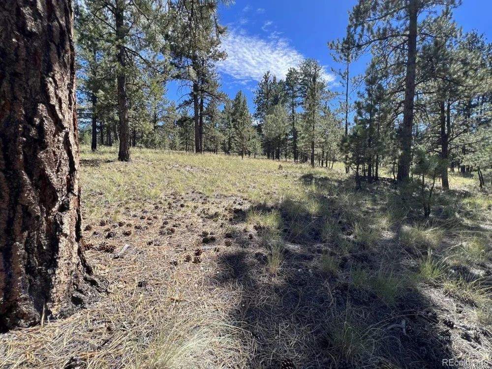 82 Kiowa Circle Westcliffe, CO 81252