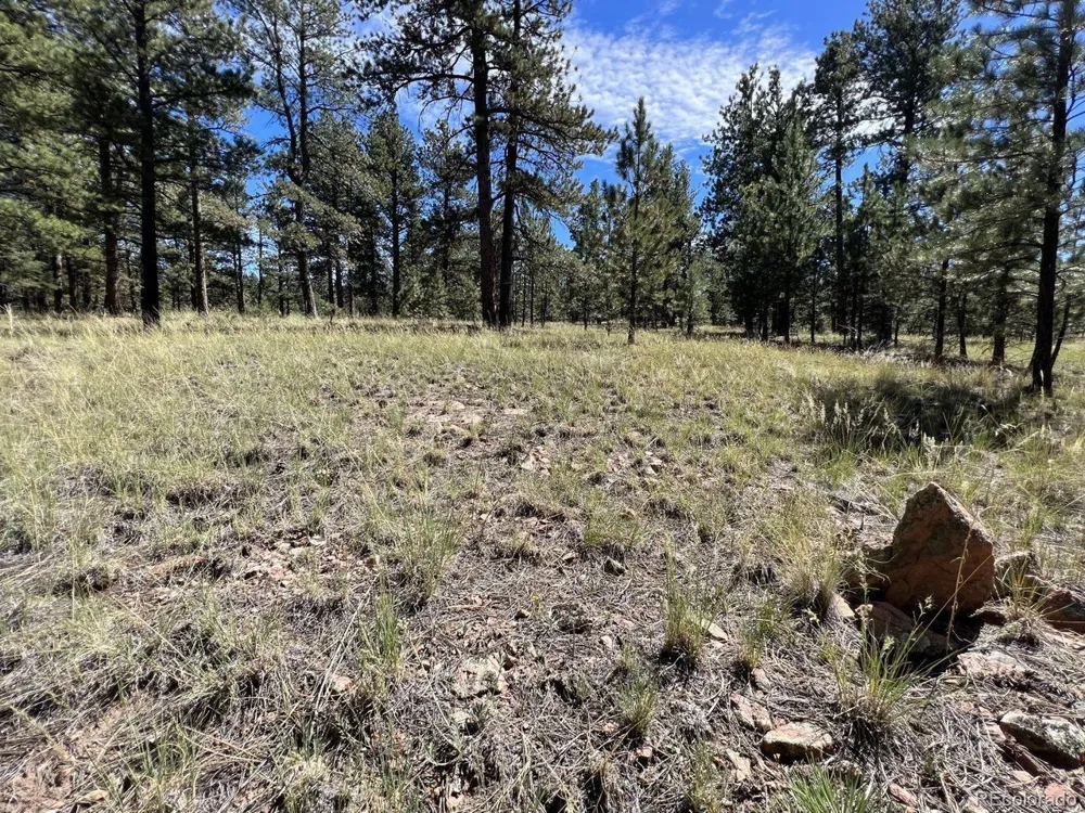 82 Kiowa Circle Westcliffe, CO 81252