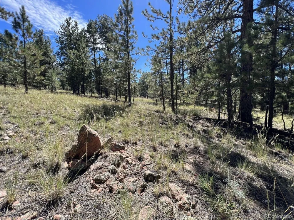 82 Kiowa Circle Westcliffe, CO 81252