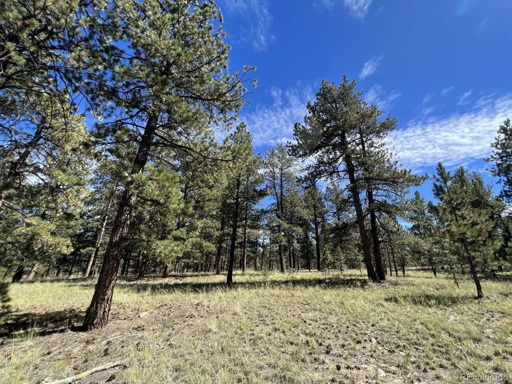 82 Kiowa Circle Westcliffe, CO 81252