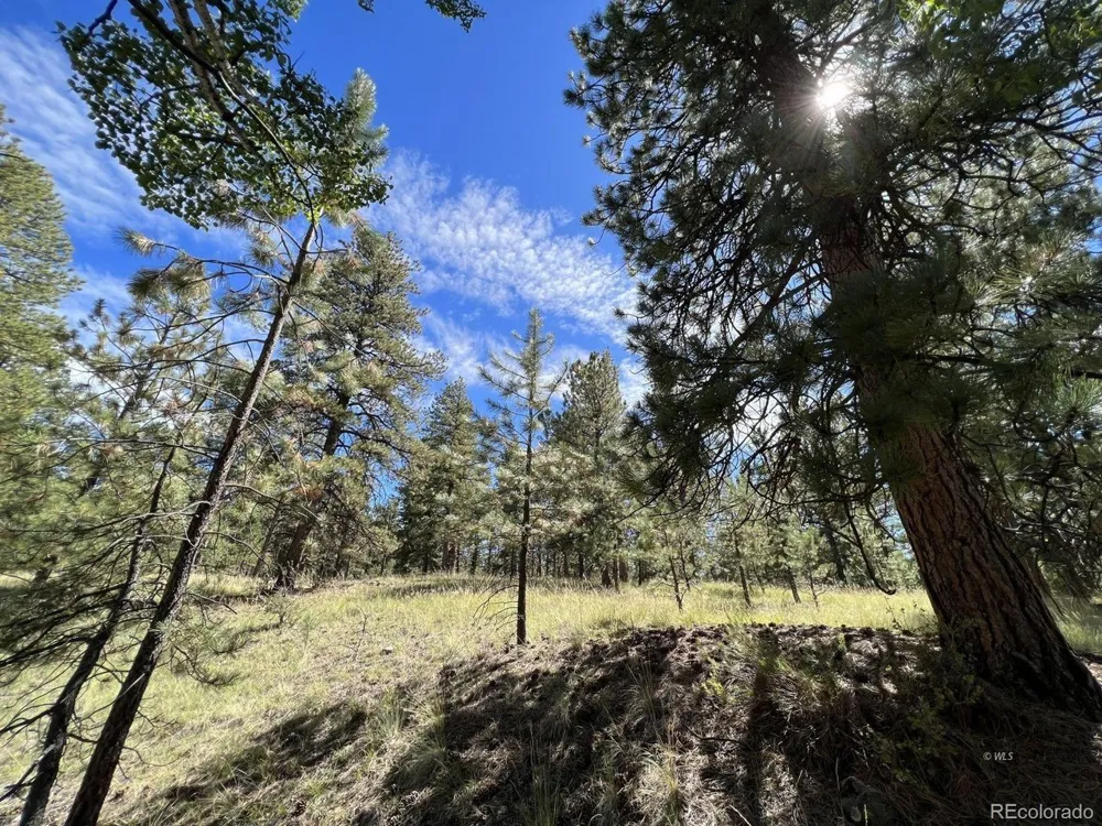 82 Kiowa Circle Westcliffe, CO 81252