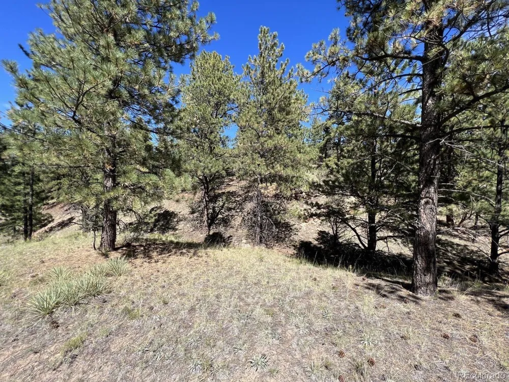 82 Kiowa Circle Westcliffe, CO 81252
