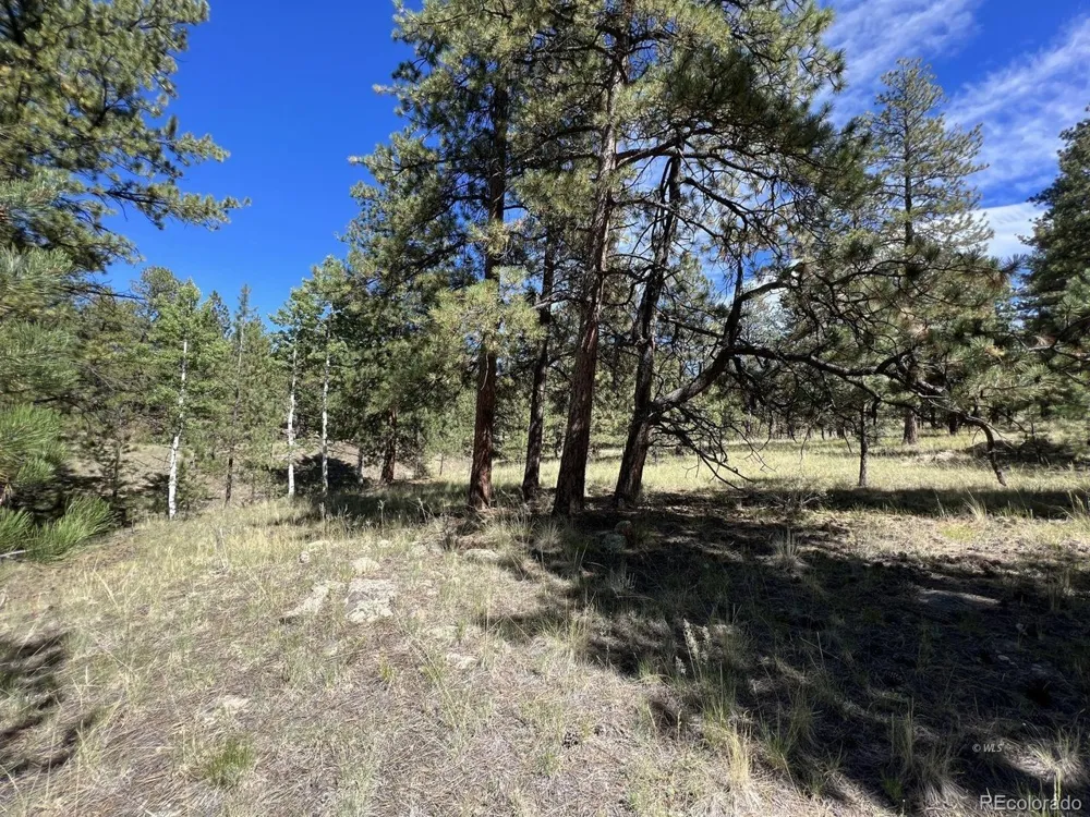 82 Kiowa Circle Westcliffe, CO 81252