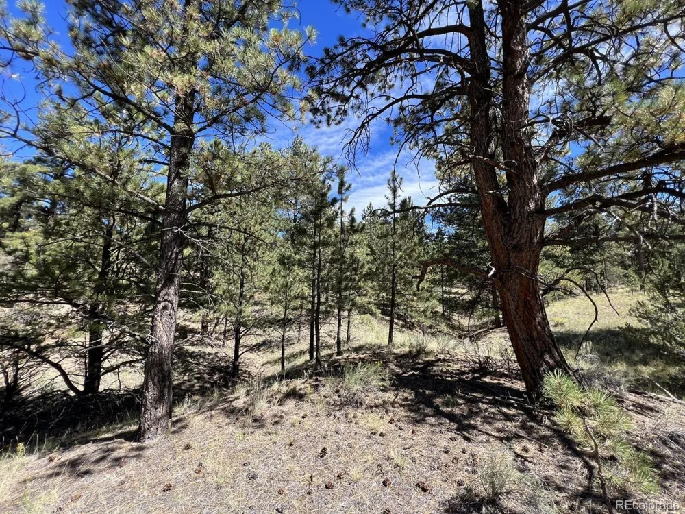 82 Kiowa Circle Westcliffe, CO 81252