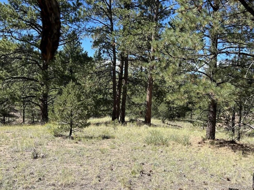 82 Kiowa Circle Westcliffe, CO 81252