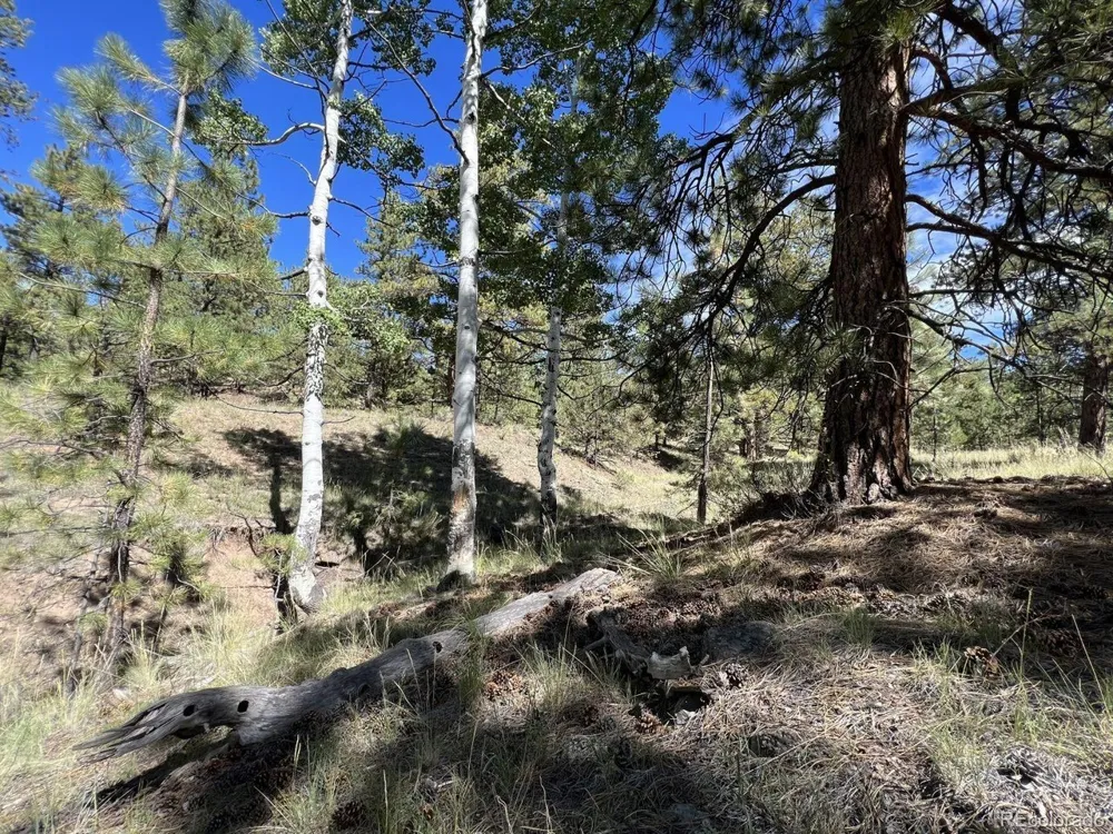 82 Kiowa Circle Westcliffe, CO 81252