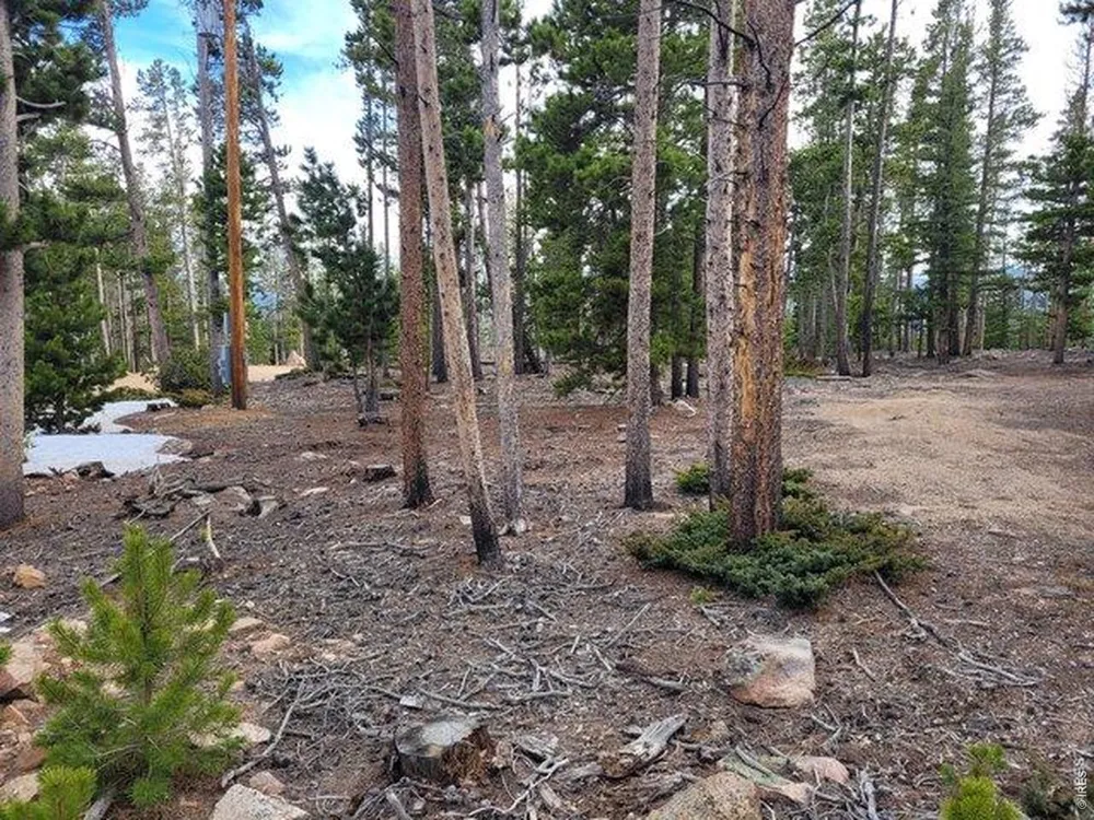 1421 Jicarilla Trail Red Feather Lakes, CO 80545