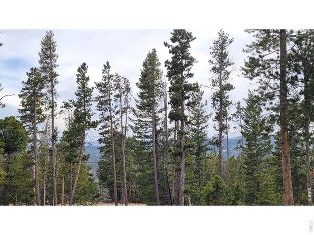 1421 Jicarilla Trail Red Feather Lakes, CO 80545