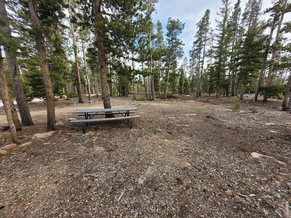 1421 Jicarilla Trail Red Feather Lakes, CO 80545
