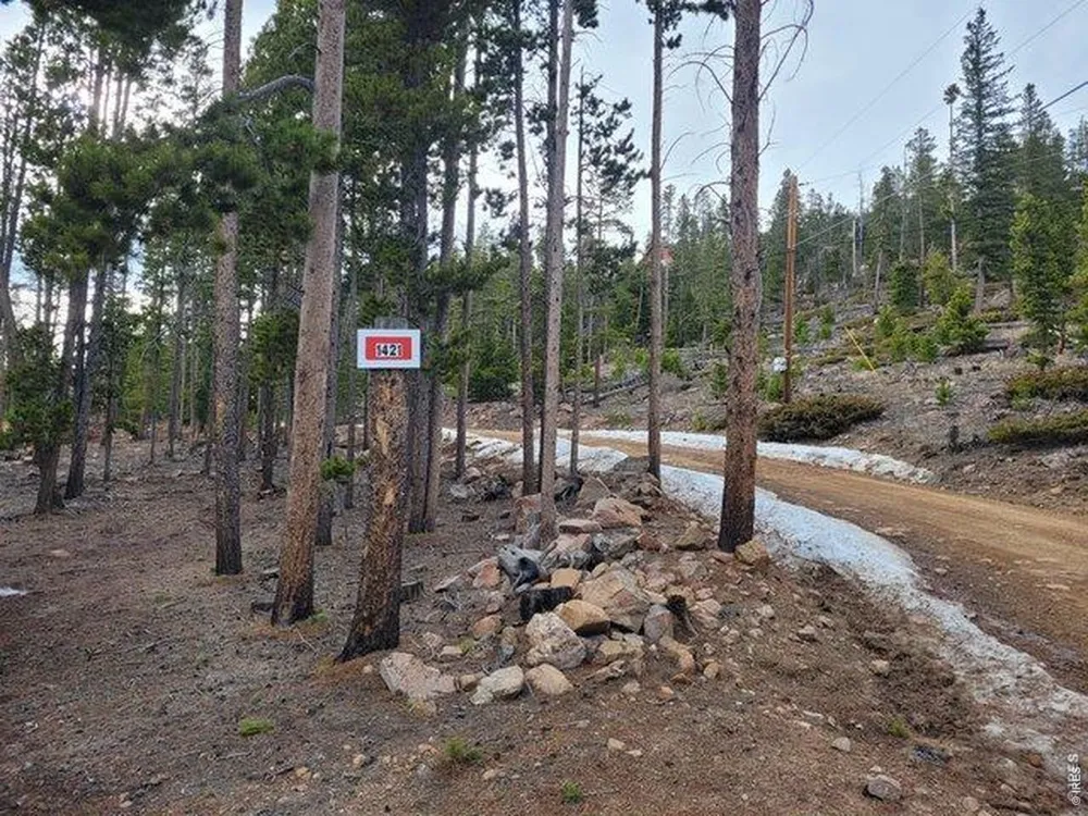 1421 Jicarilla Trail Red Feather Lakes, CO 80545