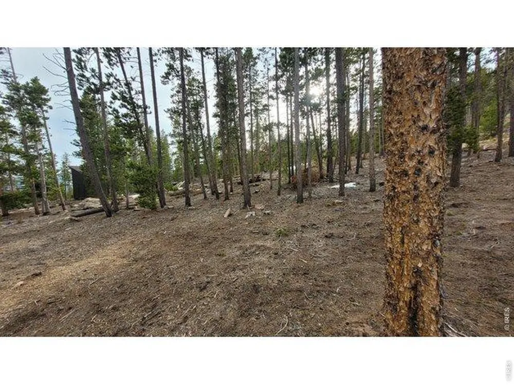 1421 Jicarilla Trail Red Feather Lakes, CO 80545