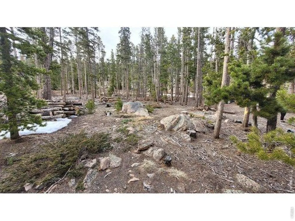 1421 Jicarilla Trail Red Feather Lakes, CO 80545