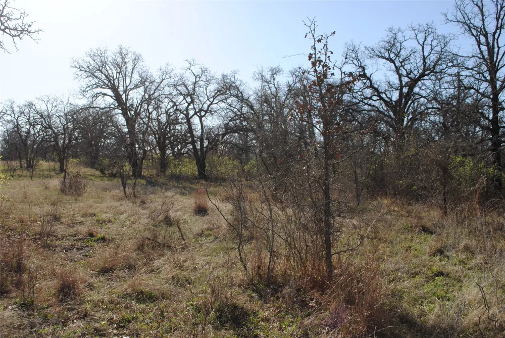 2100 Fm 591 Dublin, TX 76446