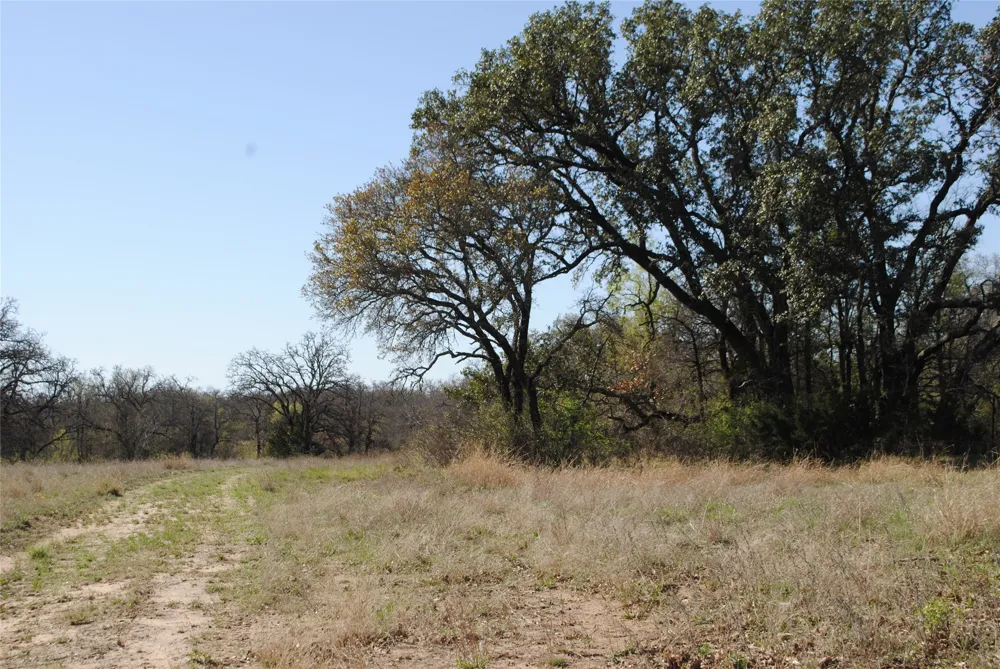2100 Fm 591 Dublin, TX 76446