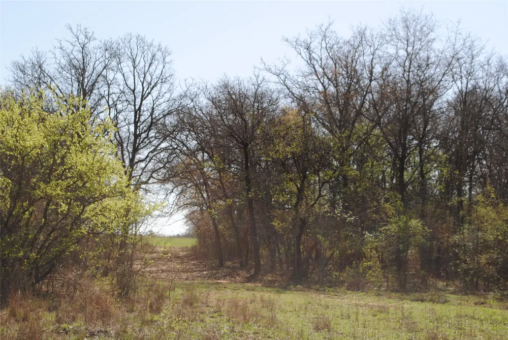 2100 Fm 591 Dublin, TX 76446